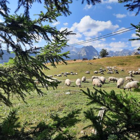 Vila Aleksandar Žabljak Exteriér fotografie