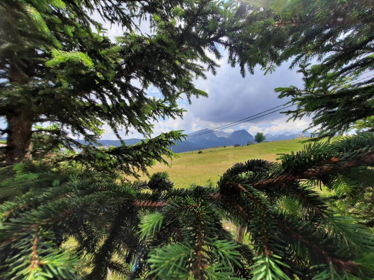 Vila Aleksandar Žabljak Exteriér fotografie