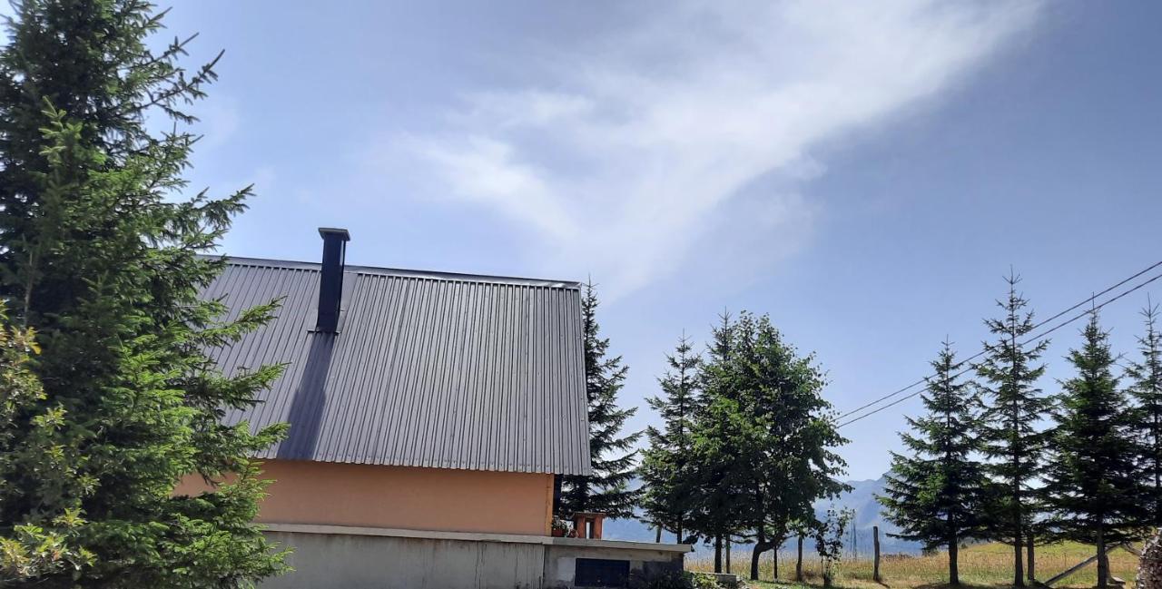 Vila Aleksandar Žabljak Exteriér fotografie