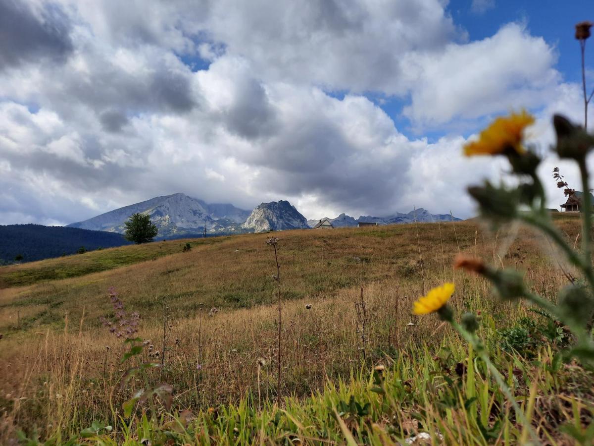 Vila Aleksandar Žabljak Exteriér fotografie