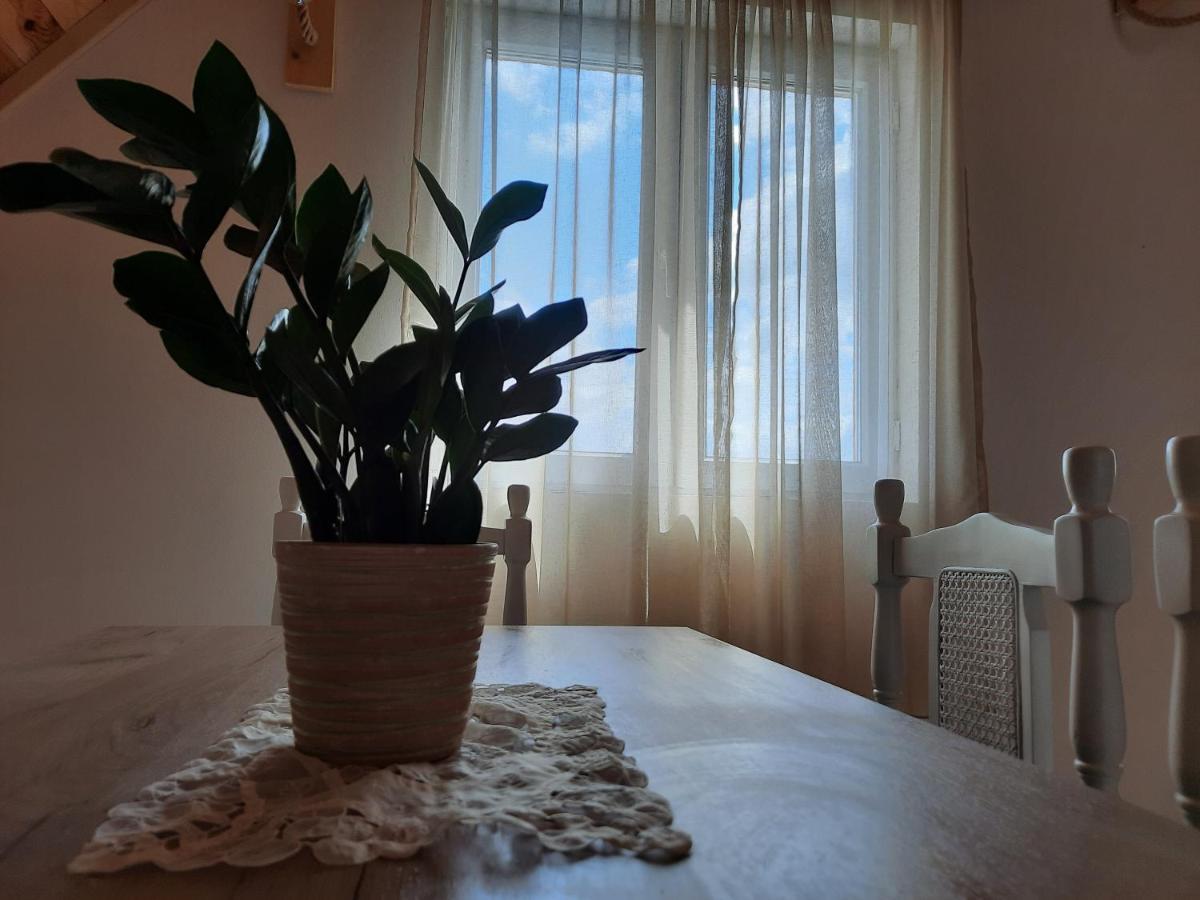 Vila Aleksandar Žabljak Exteriér fotografie