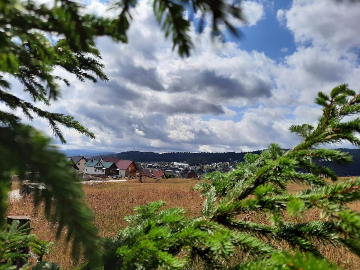 Vila Aleksandar Žabljak Exteriér fotografie