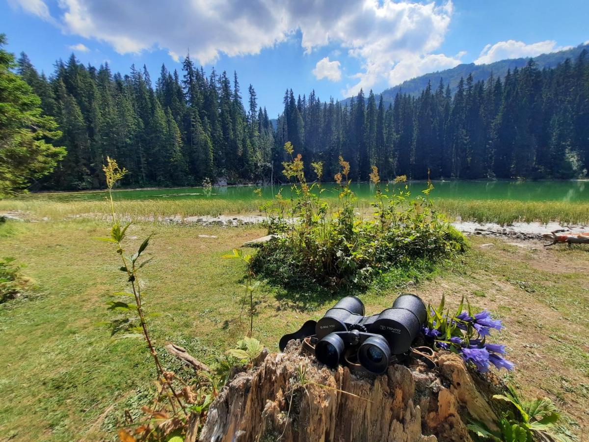 Vila Aleksandar Žabljak Exteriér fotografie