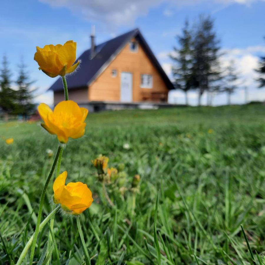Vila Aleksandar Žabljak Exteriér fotografie