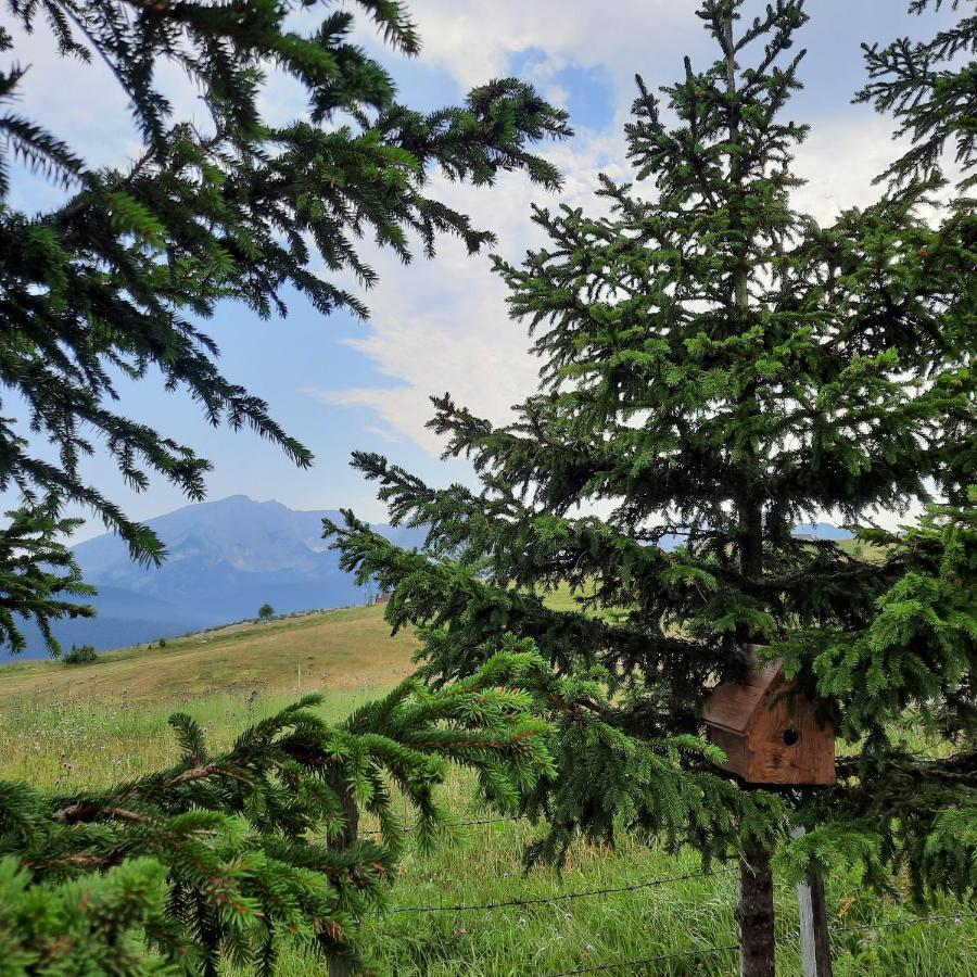 Vila Aleksandar Žabljak Exteriér fotografie